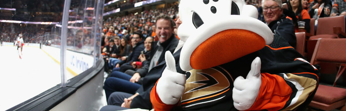 Wild Wing, the Anaheim Ducks Mascot: Everything You Need to Know - The  Stadiums Guide