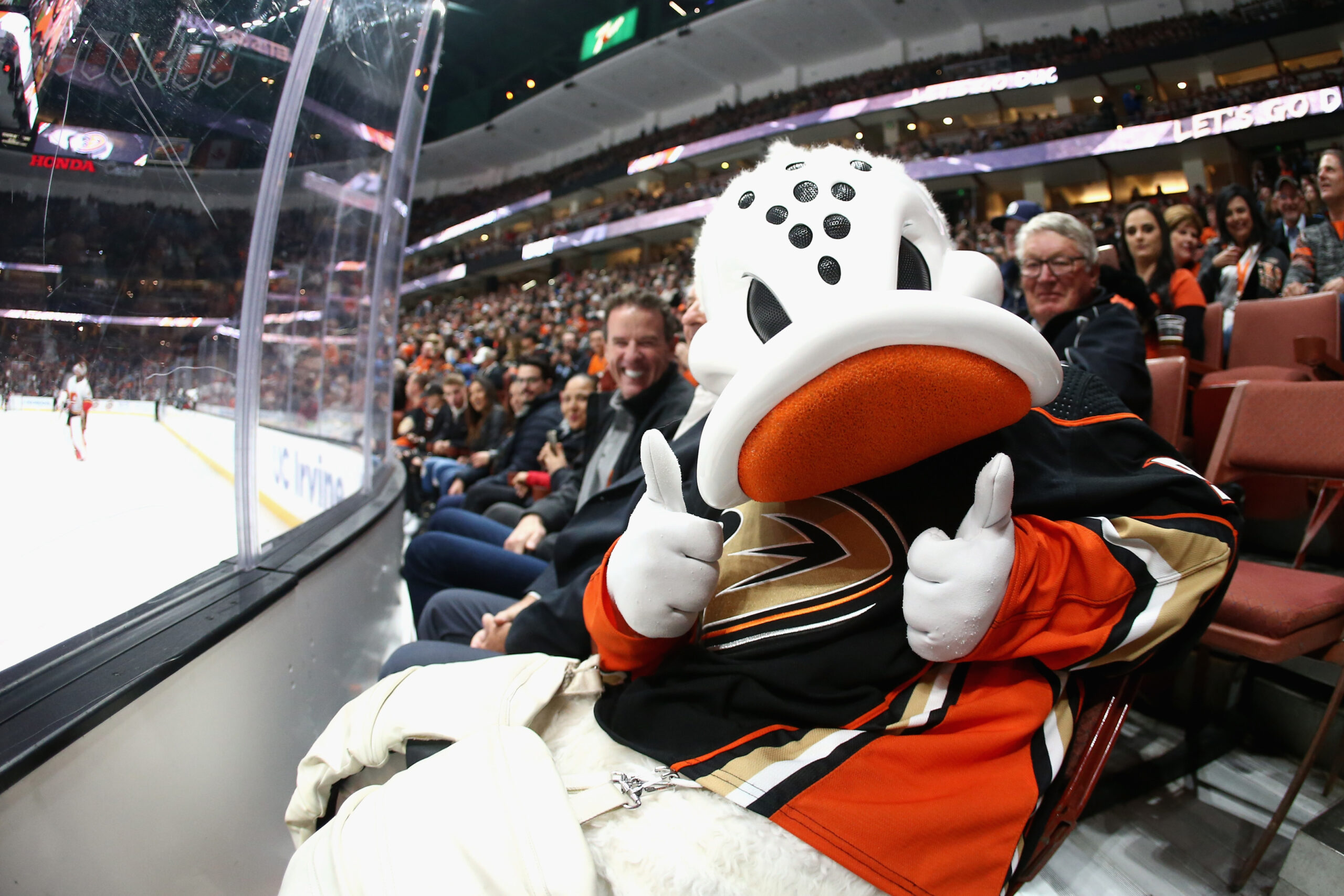 Wild Wing, the Anaheim Ducks Mascot Everything You Need to Know The