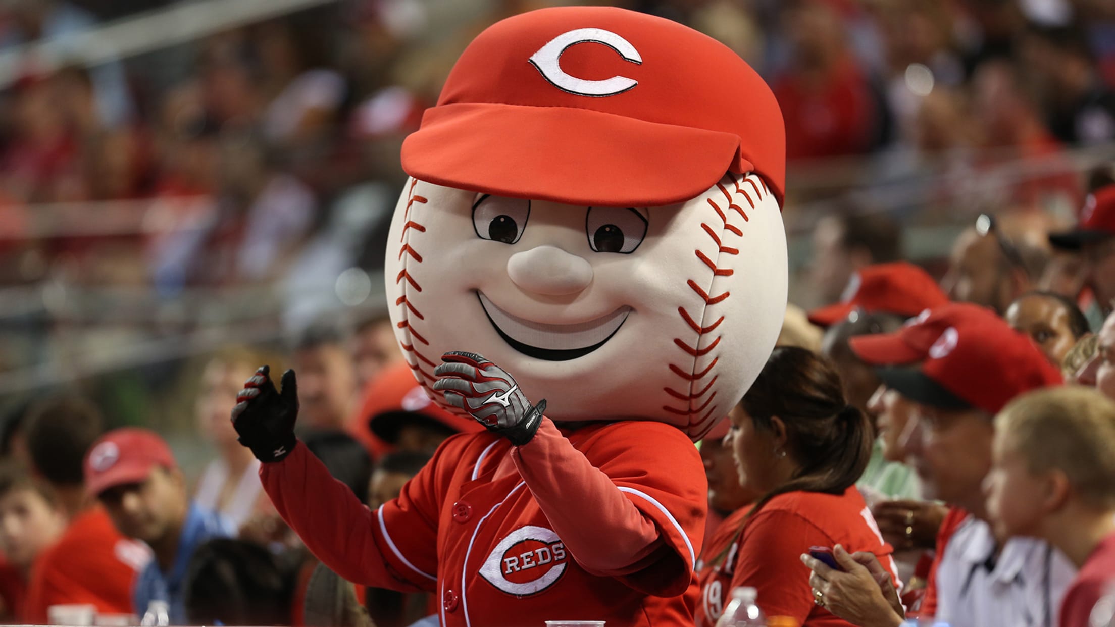 Mr. Red The Cincinnati Reds Mascot Everything You Need to Know The